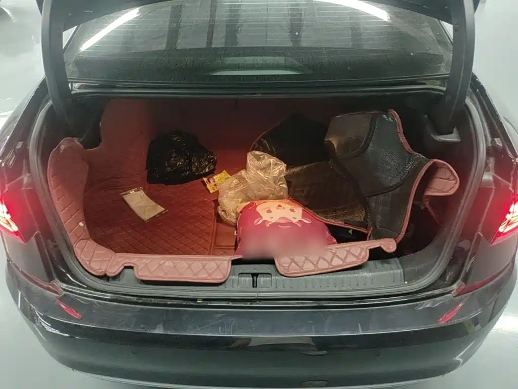 Volkswagen Passat — миниатюра 19