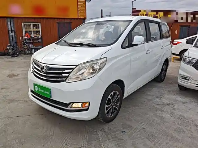 2018 Changan Ruixing