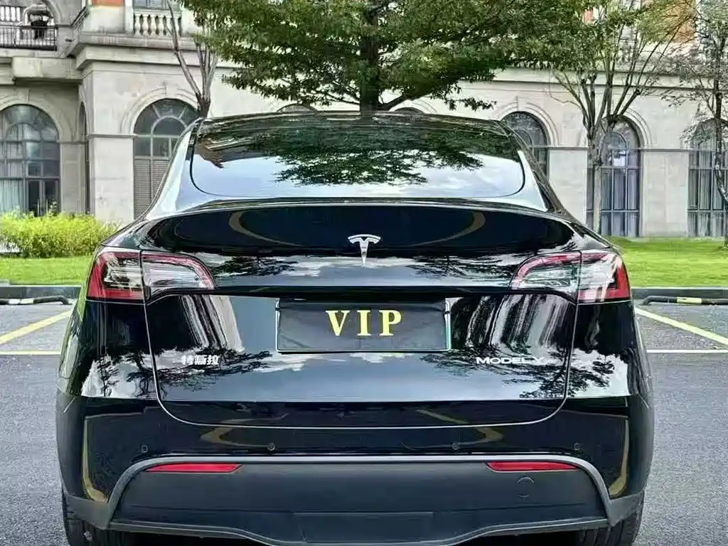 Tesla Model Y — миниатюра 9