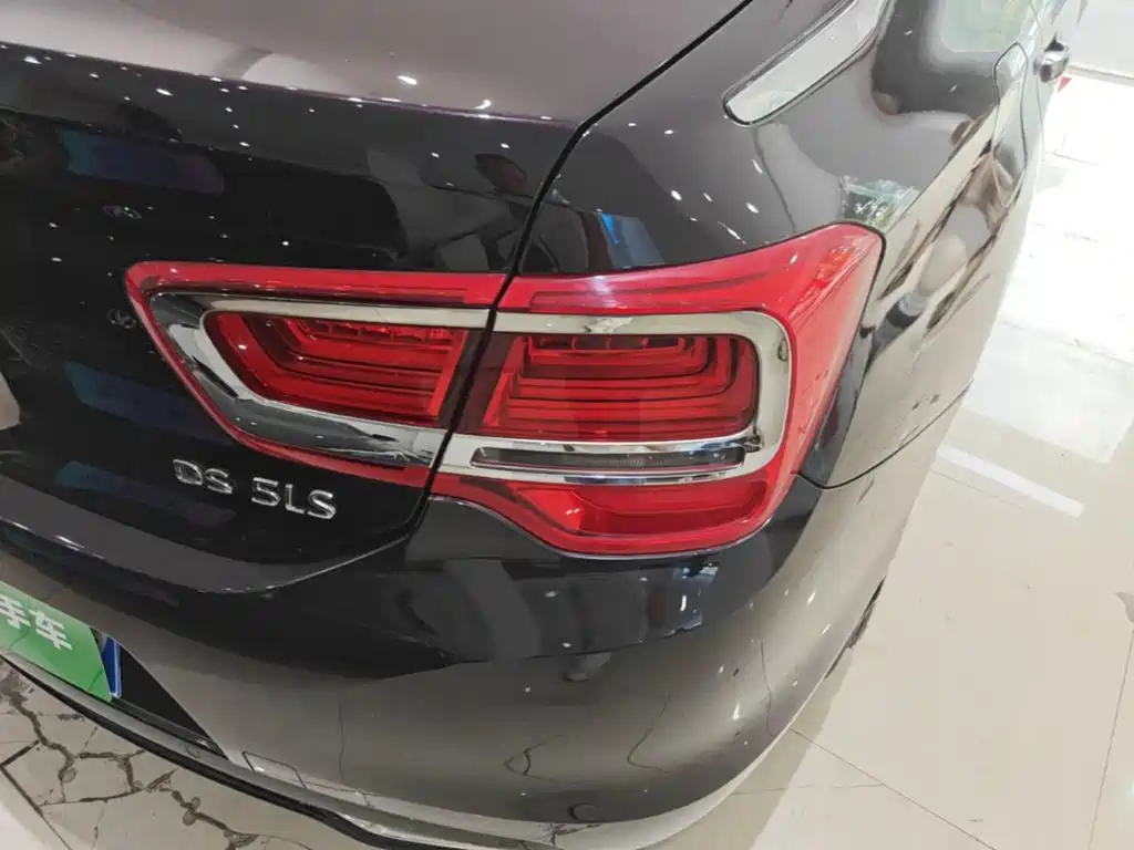DS DS 5LS — миниатюра 8