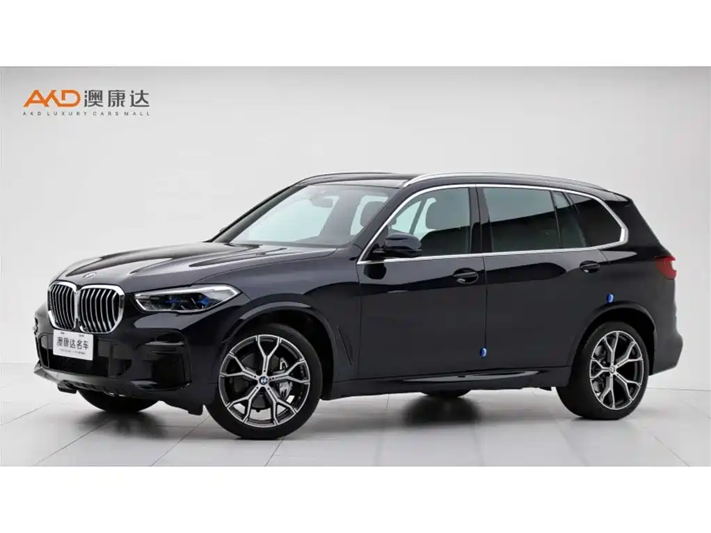 BMW X5 2022