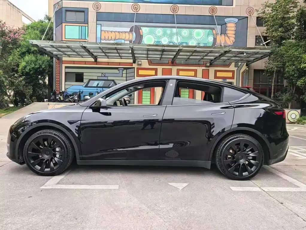 Tesla Model Y — миниатюра 13