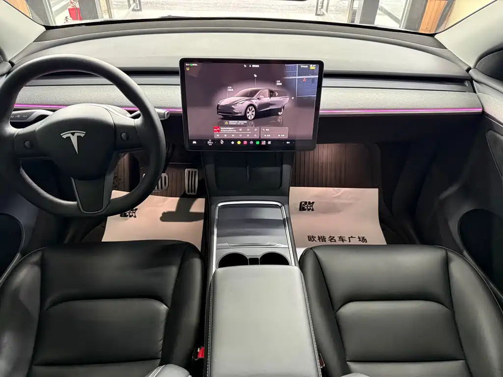 Tesla Model Y — миниатюра 12