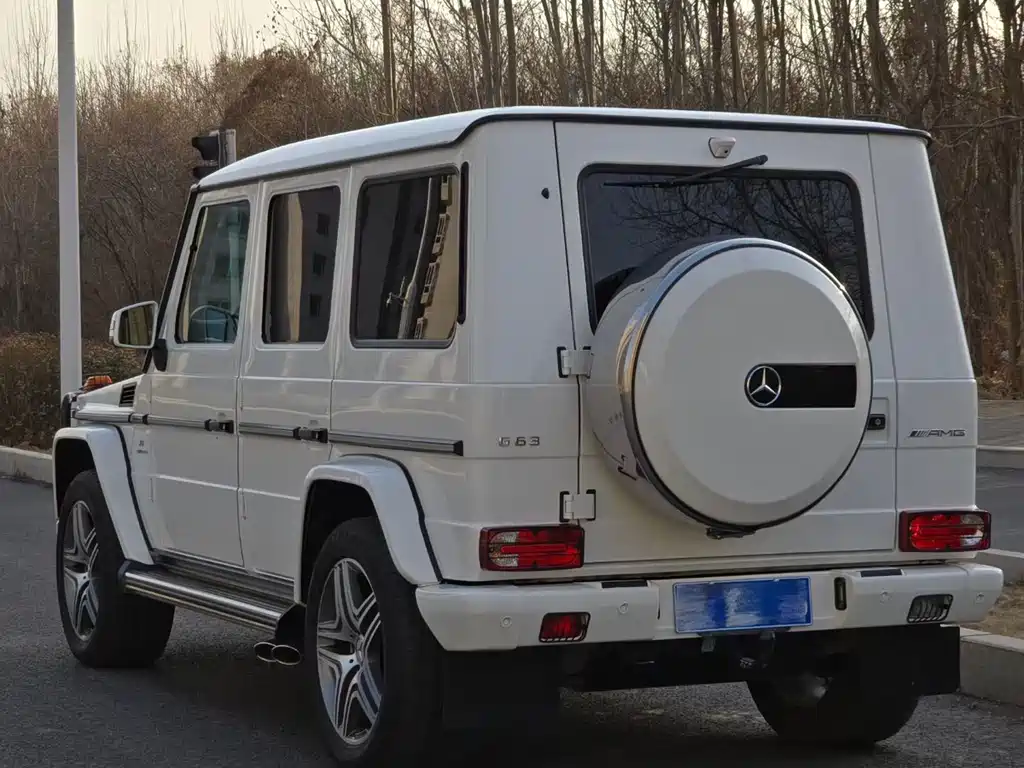 Mercedes-Benz G-Class A MG G AMG 2013 AMG G 63