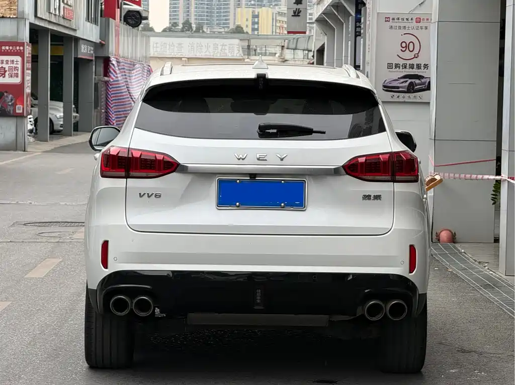 WEI PAI WEI BRAND VV6