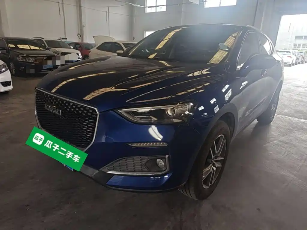 Haval F5 — миниатюра 2