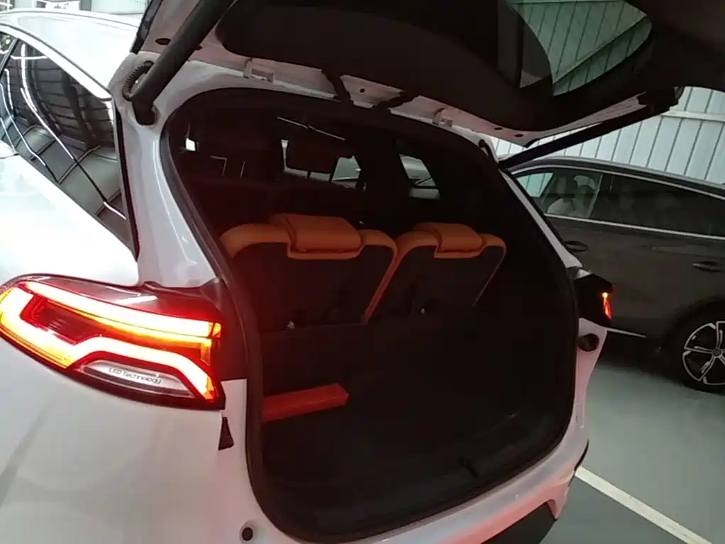 BYD Tang New Energy — миниатюра 19