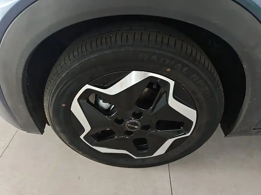 BYD Dolphin — миниатюра 23