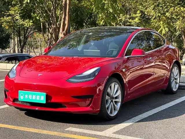 TESLA MODEL 3 2020