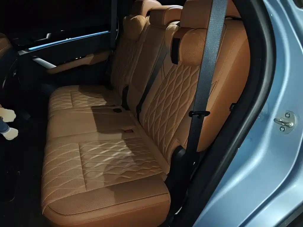 BYD Tang New Energy — миниатюра 18