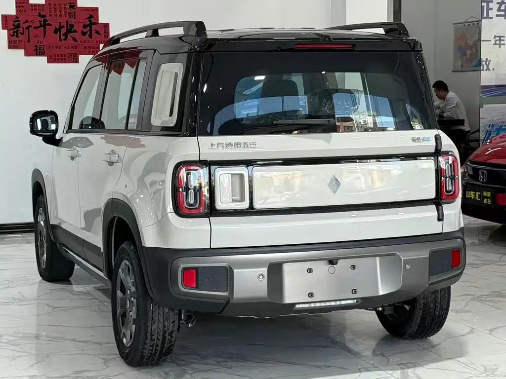 BAOJUN YUE ALSO PLUS