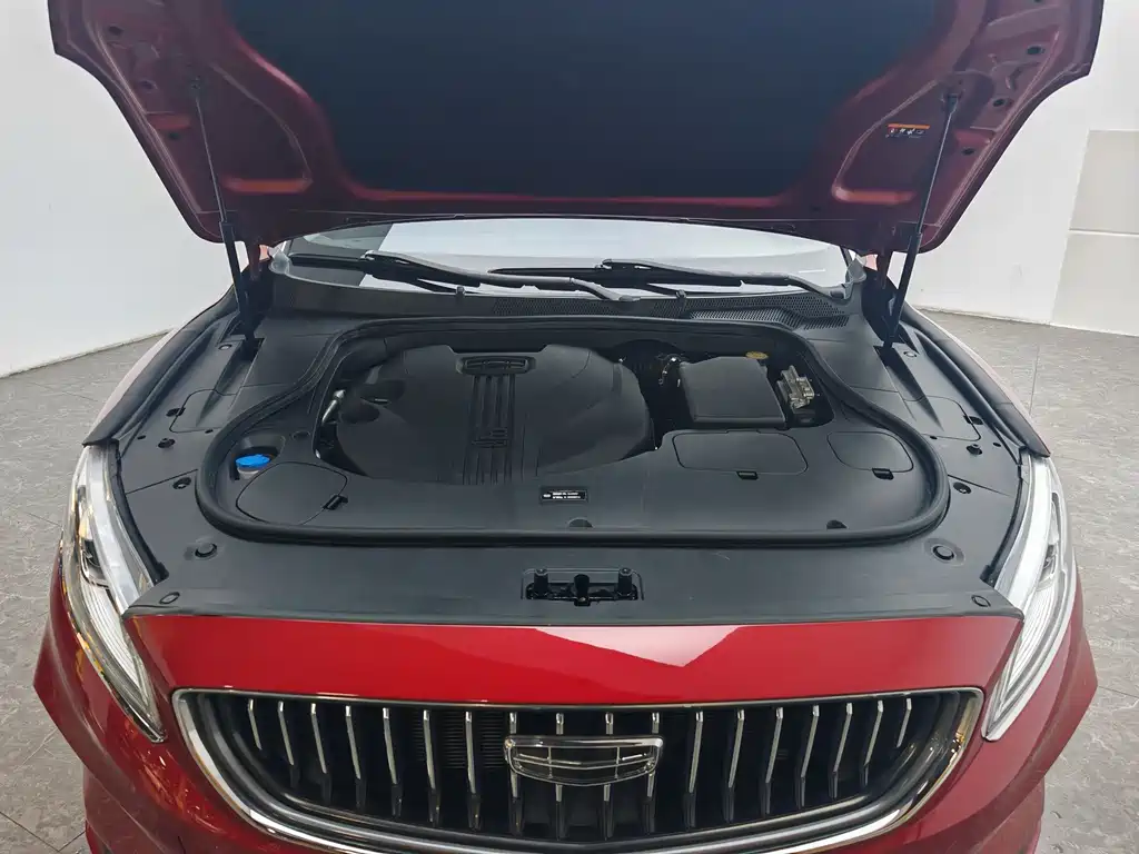 Geely Borui — миниатюра 13