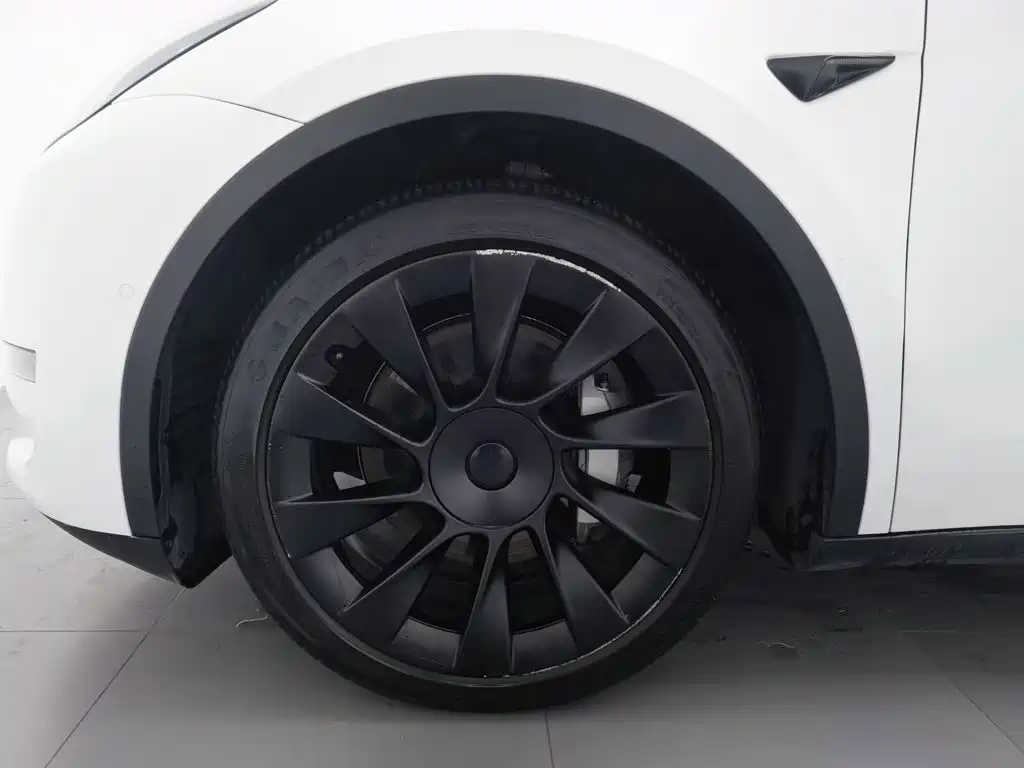Tesla Model Y — миниатюра 17