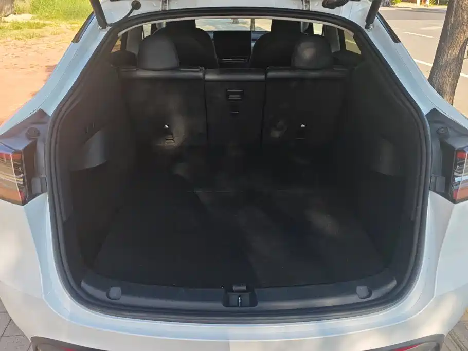 Tesla Model Y — миниатюра 4
