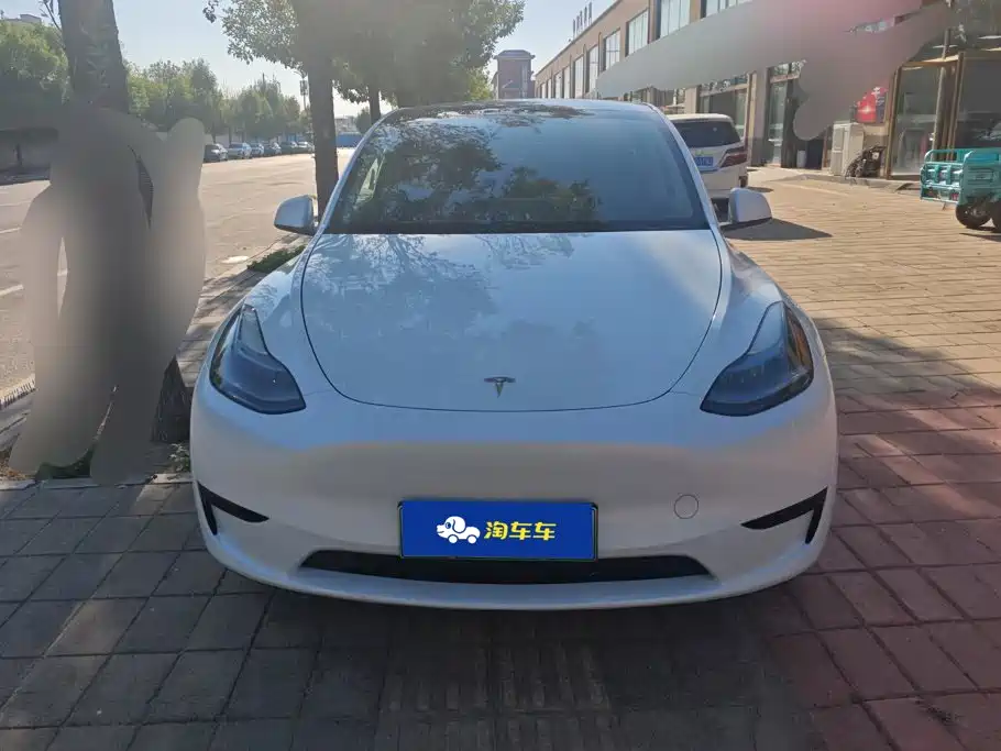 Tesla Model Y — миниатюра 2