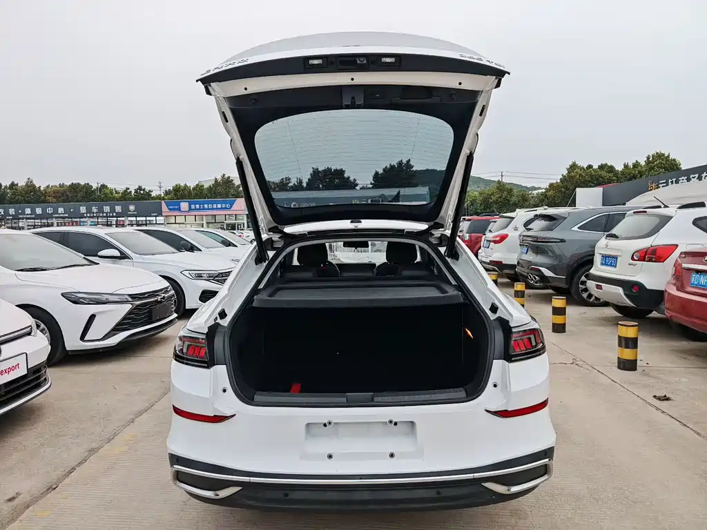 Volkswagen Lamando — миниатюра 9