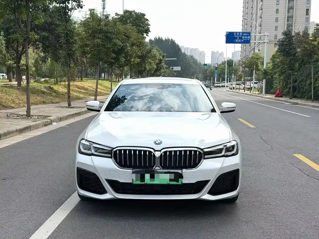 BMW 5 Series New Energy — миниатюра 2
