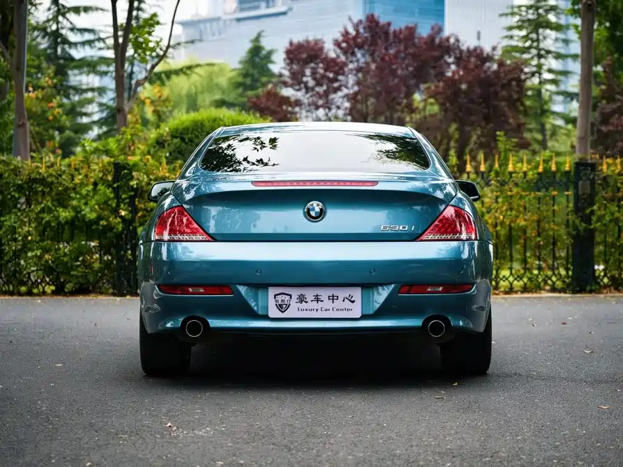 BMW 6 Series — миниатюра 6