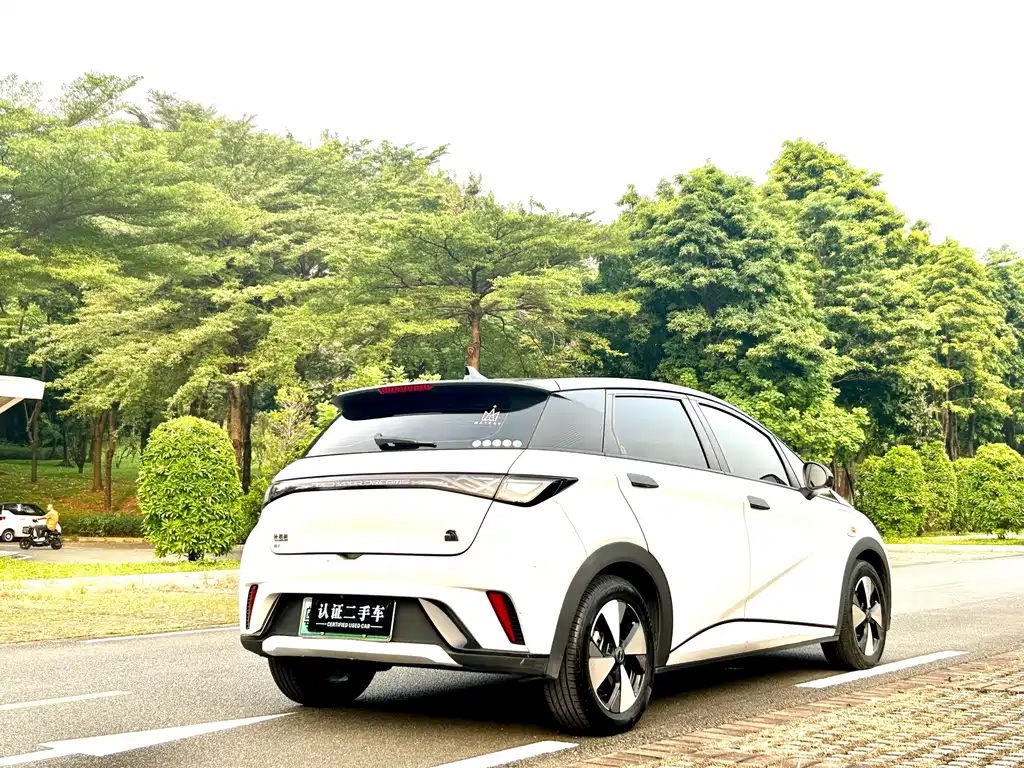 BYD Dolphin — миниатюра 7