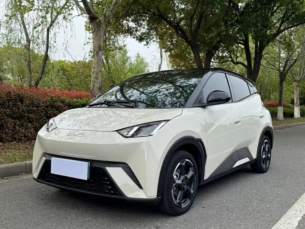 Byd Seagull 2024
