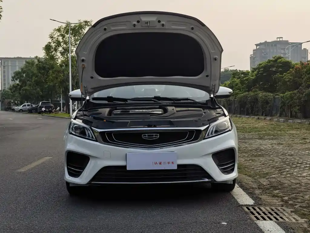 Geely Binrui — миниатюра 14