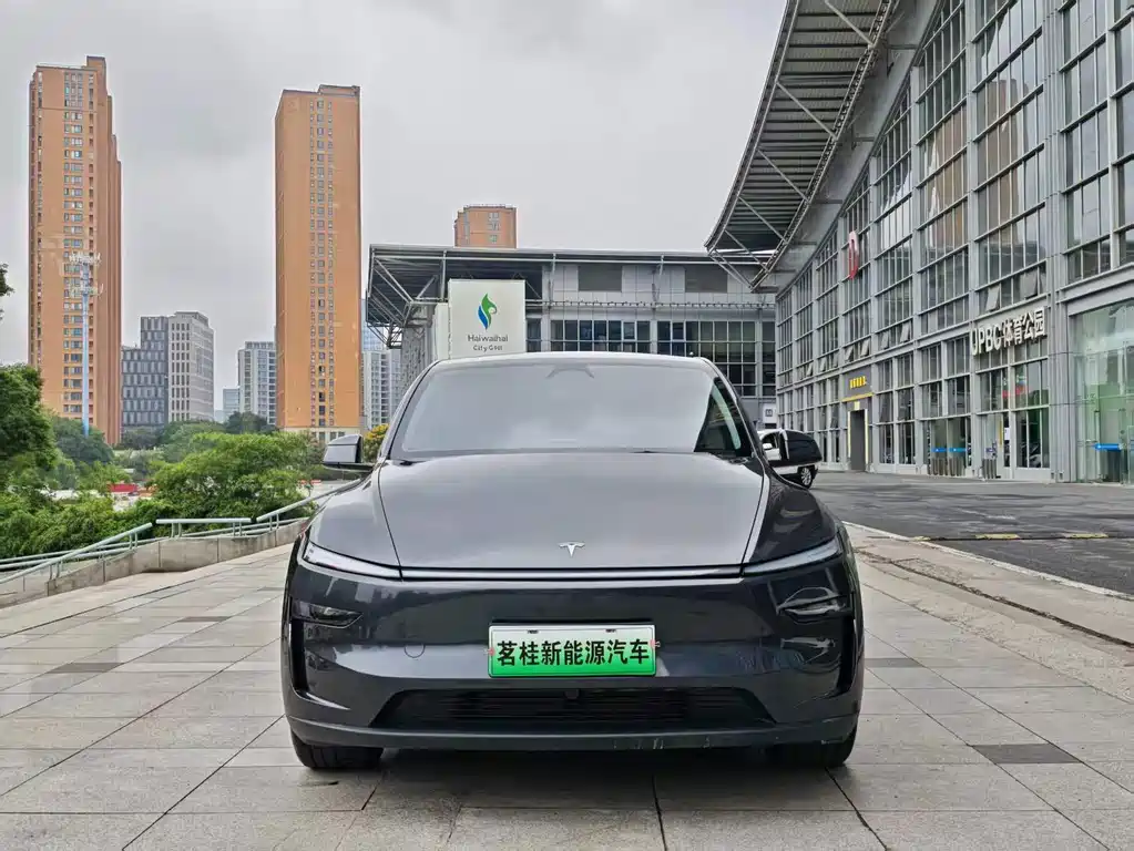 Tesla Model Y — миниатюра 2