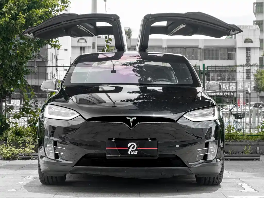 TESLA MODEL X