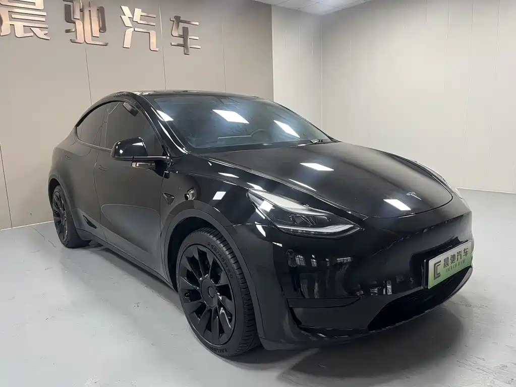 Tesla Model Y — миниатюра 3
