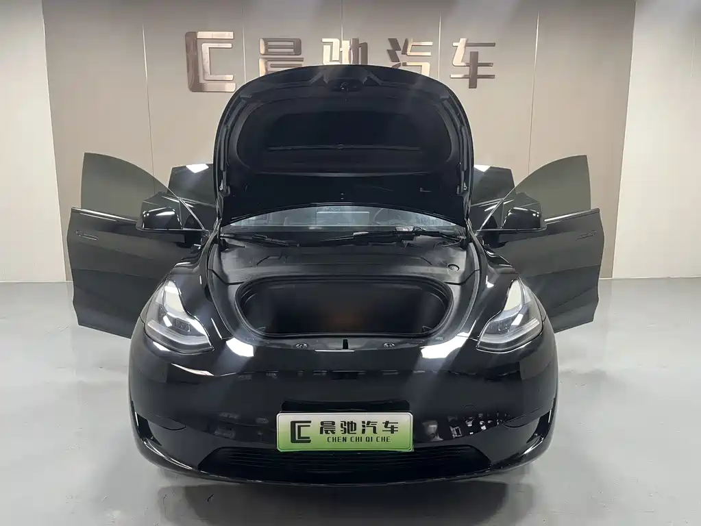 Tesla Model Y — миниатюра 14