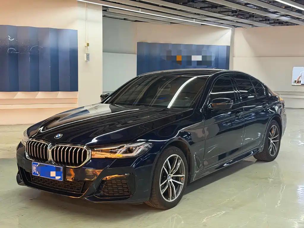 BMW 5 Series (Import) — миниатюра 3