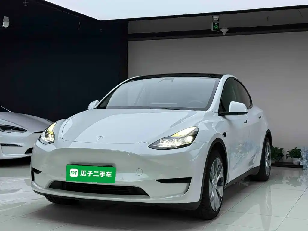 Tesla Model Y — миниатюра 2