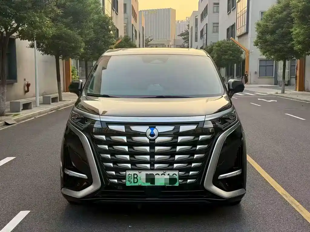 Denza Denza D9 — миниатюра 2