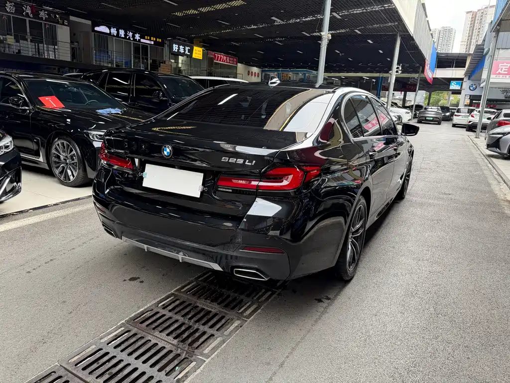 BMW 5 Series — миниатюра 4