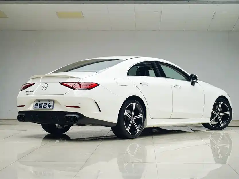 Mercedes-Benz CLS CLS 300 Luxury Type, фото 16