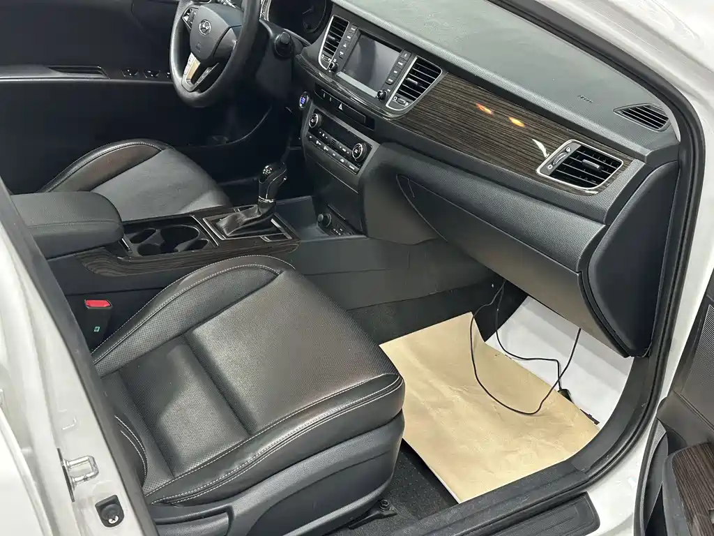 HYUNDAI NAME PICTURE