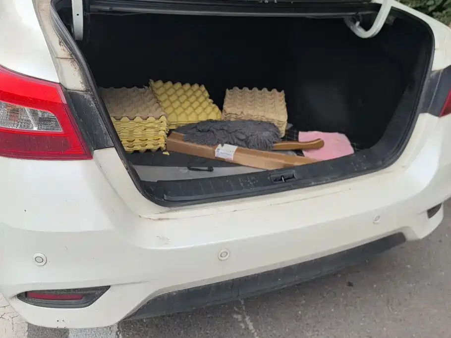 Nissan Sylphy — миниатюра 4