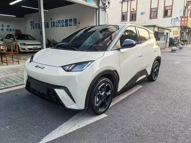 BYD Seagull