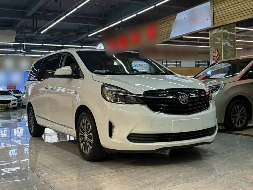 Buick GL8 — миниатюра 8