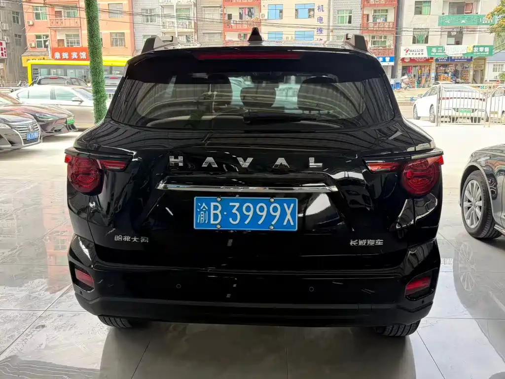Haval Big Dog PLUS — миниатюра 10