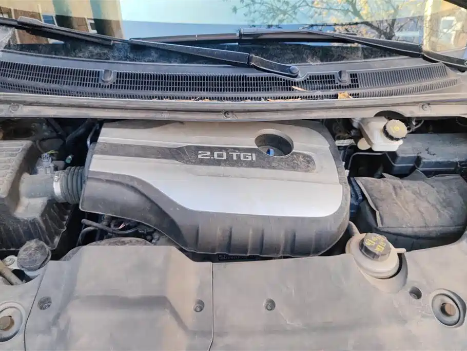 SAIC MAXUS CHASE G20