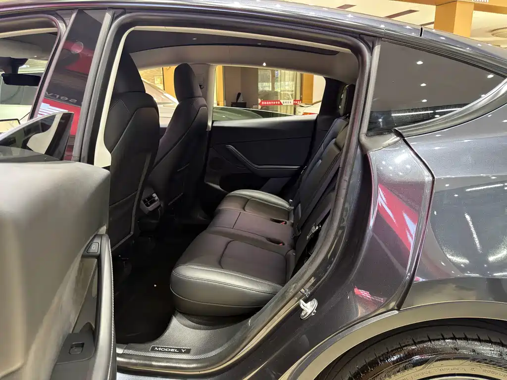 Tesla Model Y — миниатюра 6