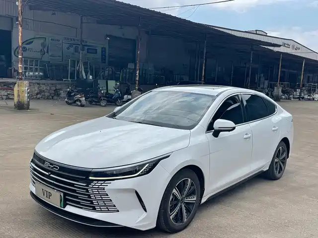 2022 BYD Destroyer