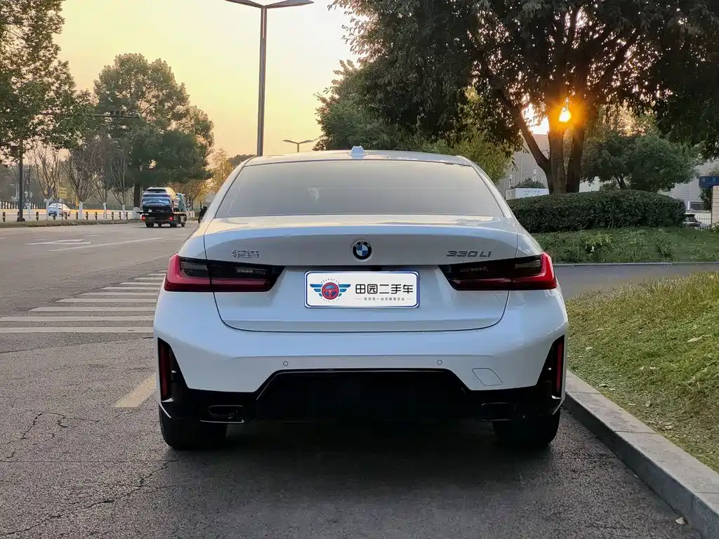 BMW 3 Series 330Li M Sport Night Package, фото 5