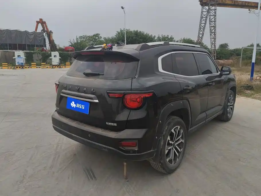 Haval Big Dog PLUS — миниатюра 3