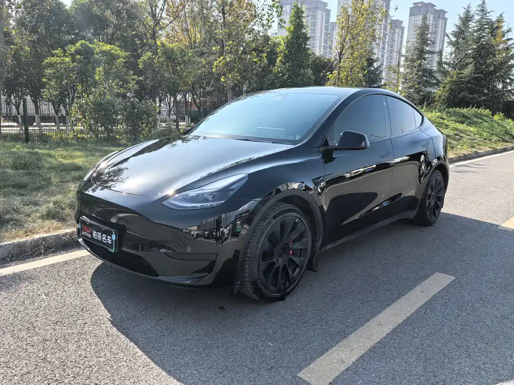 TESLA MODEL Y