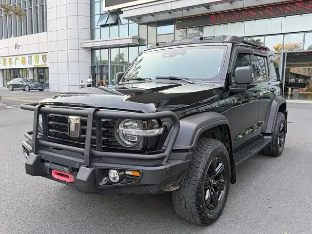 Tank 300
