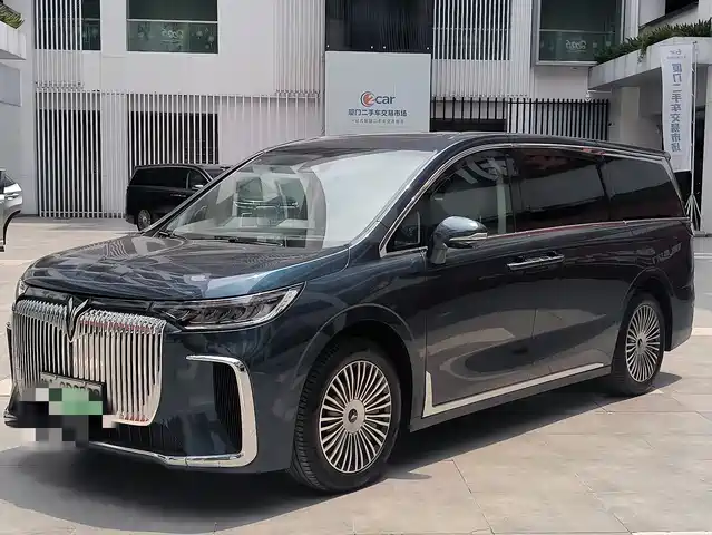 2025 Voyah Dream
