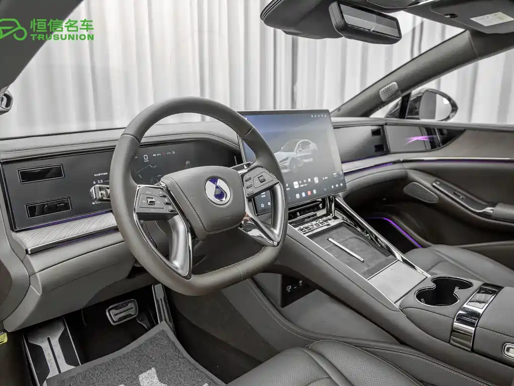 Denza Denza Z9 — миниатюра 13