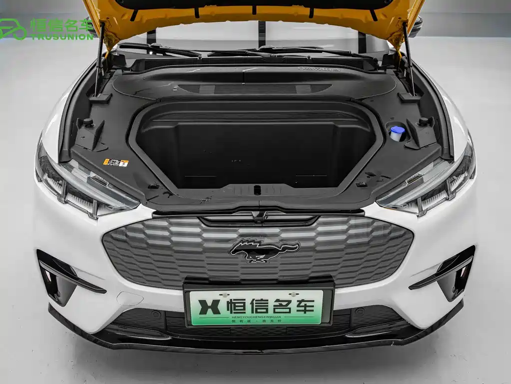 Ford Mustang Mach-E — миниатюра 20
