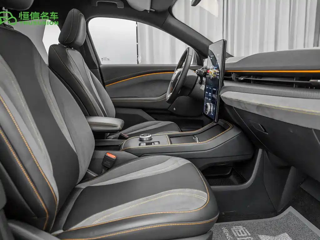 Ford Mustang Mach-E — миниатюра 15